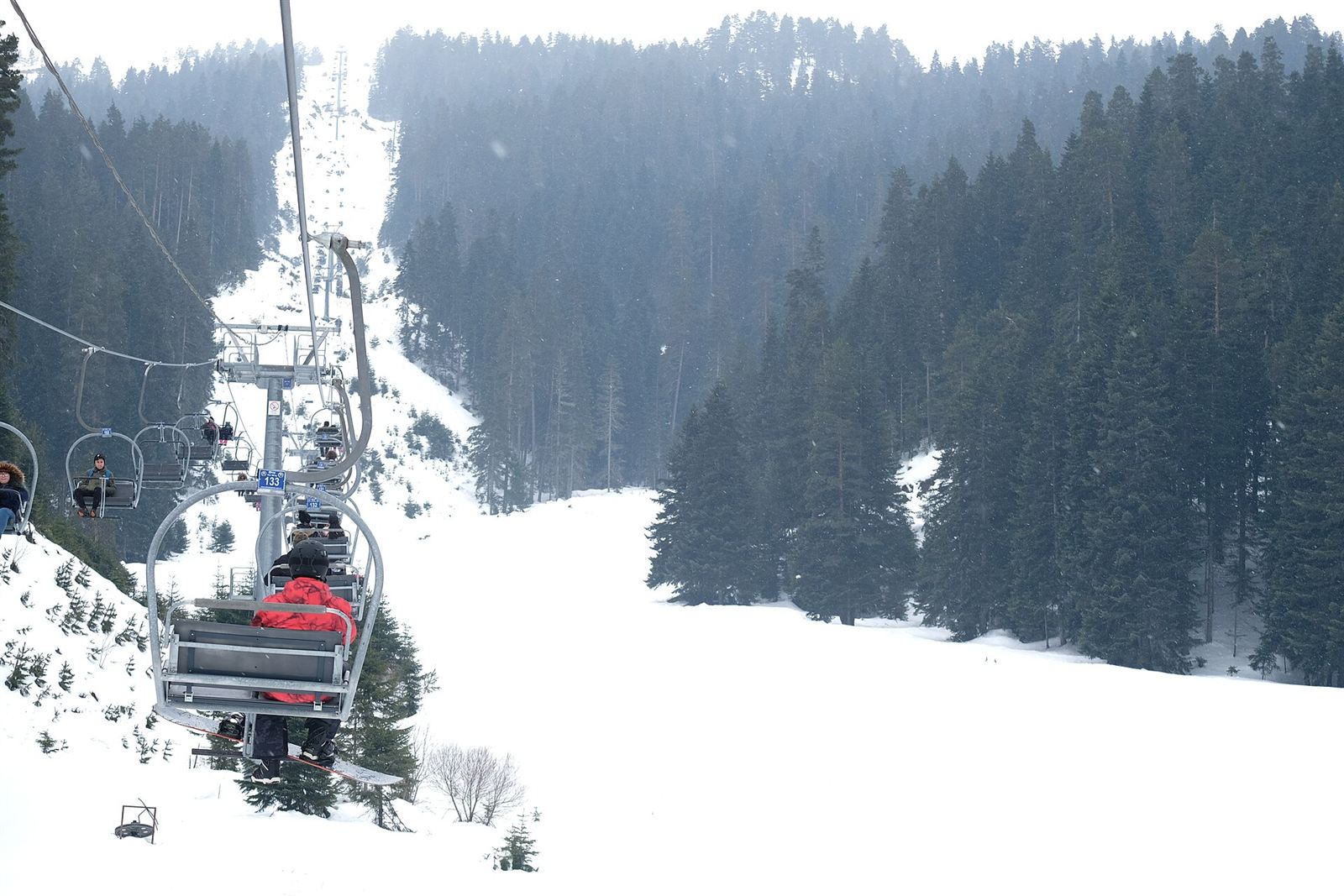 Ilgaz Dağı'nda çam ormanı içinden geçen telesiyej hattı